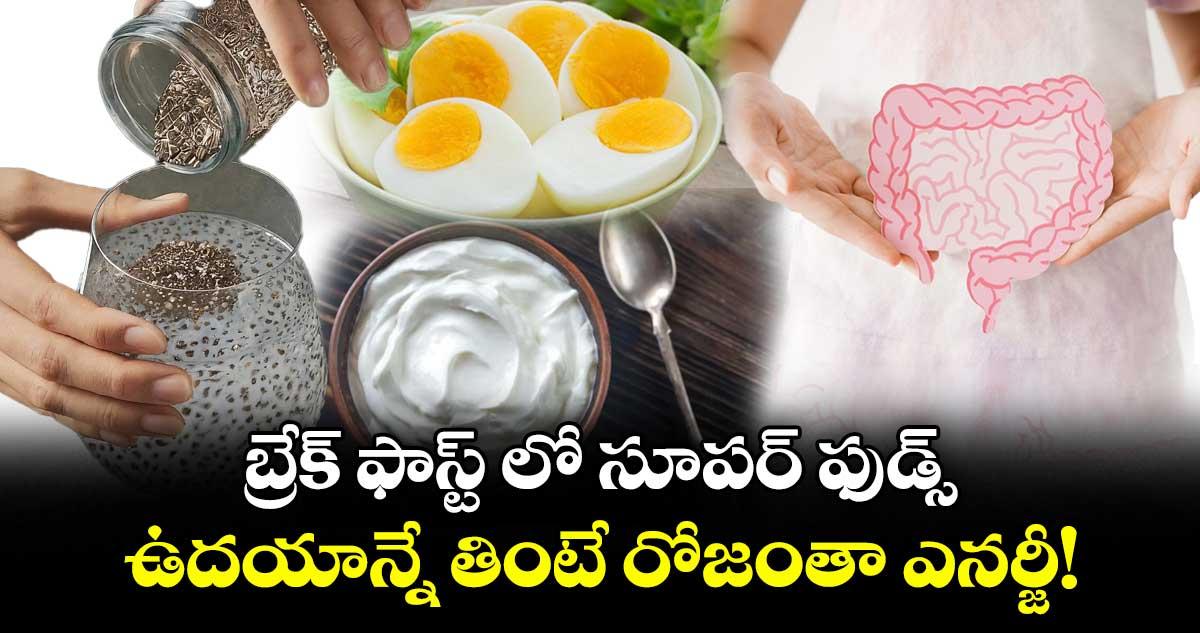 బ్రేక్ ఫాస్ట్ లో సూపర్ ఫుడ్స్.. ఉదయాన్నే తింటే రోజంతా ఎనర్జీ!