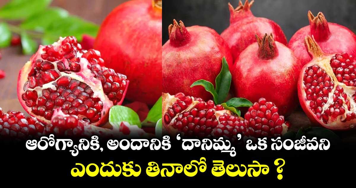 ఆరోగ్యానికి, అందానికి 'దానిమ్మ' ఒక సంజీవని.. ఎందుకు తినాలో తెలుసా ?