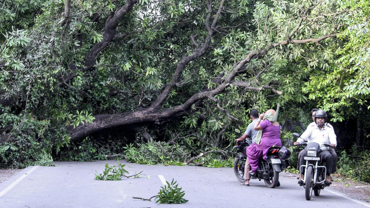Over 55 people killed as storm and rain batter Uttar Pradesh