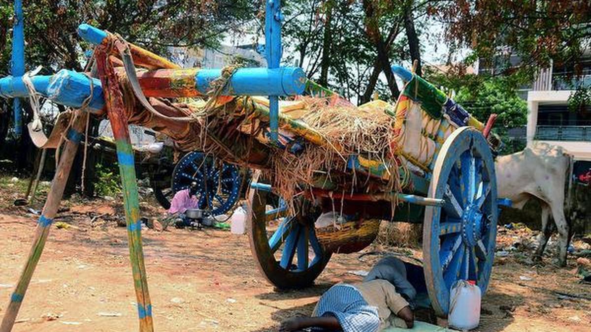 18 of 33 Telangana districts record temperatures above 41°C amid rising heatwave conditions