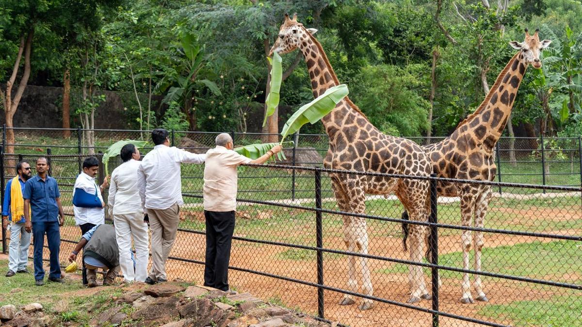 Assembly panel pitches for Singapore-style makeover of Visakhapatnam zoo