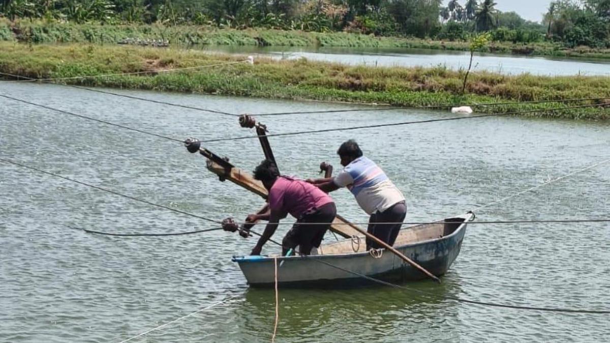 APSPDCL swiftly restores power after hailstorm wreaks havoc
