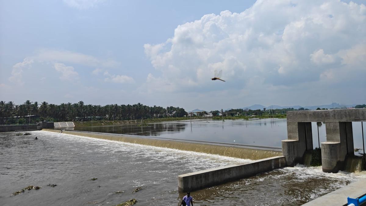 T.N. Assembly Election 2026: Delay in proposed textile park sparks concern among residents of Gudiyatham constituency