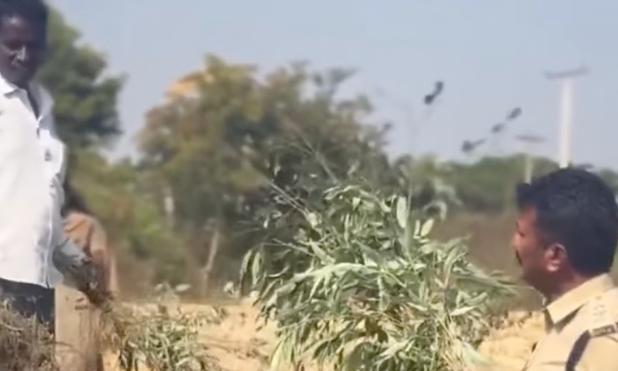 A Cop's Crusade Against Stubble Burning