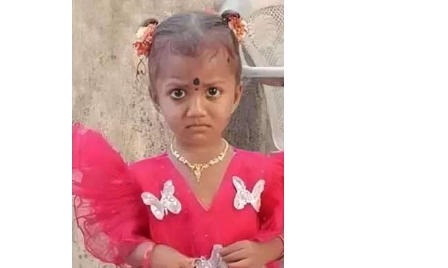 Gnaneshwari Case: Dolls Stuffed With Meat Arranged