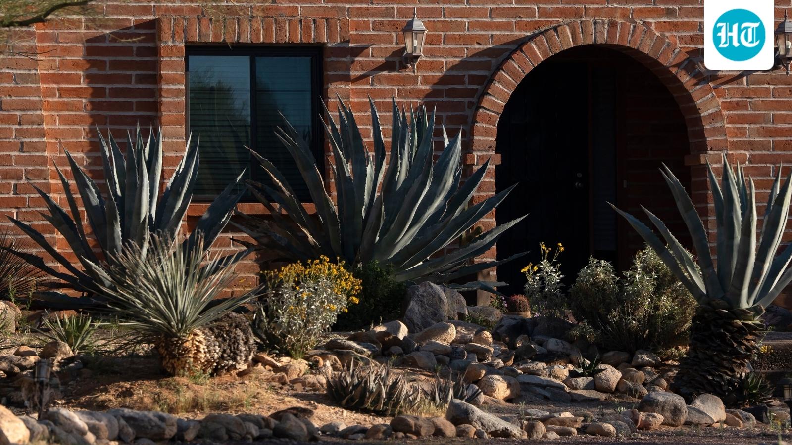 Did Nancy Guthrie's kidnapper 'change his appearance', alter his car? Ex-FBI profiler's chilling theory