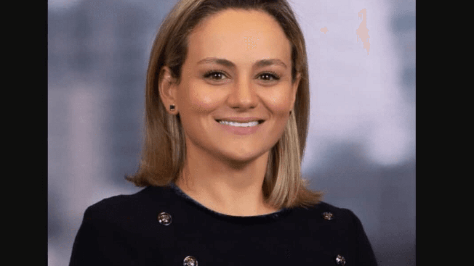 Lorna Hajdini sued: JPMorgan reacts over bombshell assault allegations | A look at victim's demands