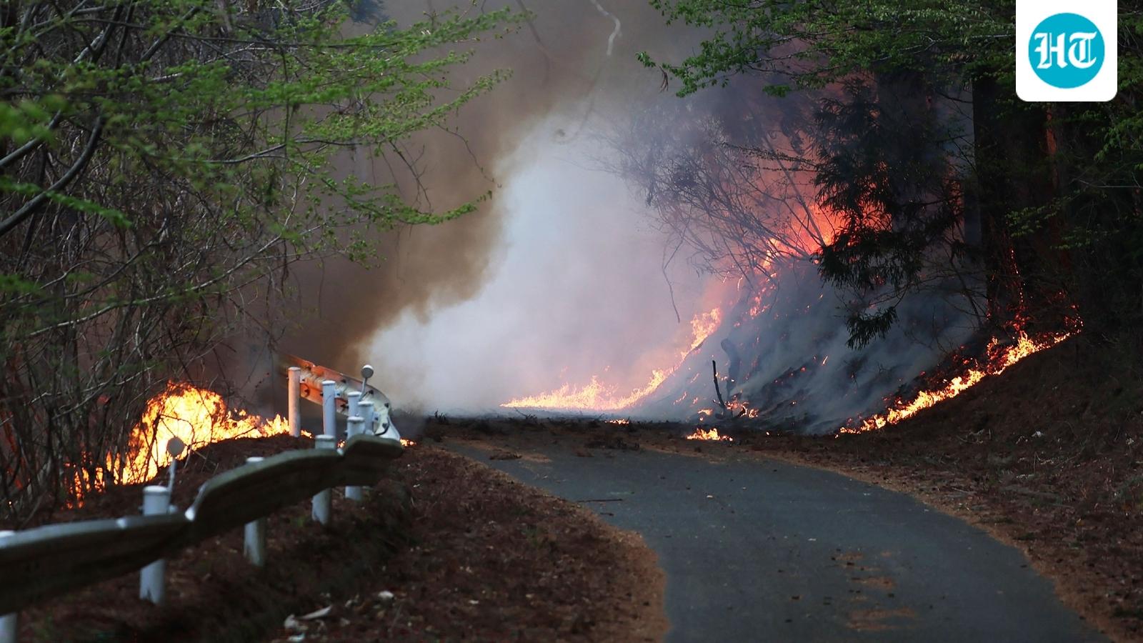 Japan contains one of its biggest wildfires in decades after 11-day battle