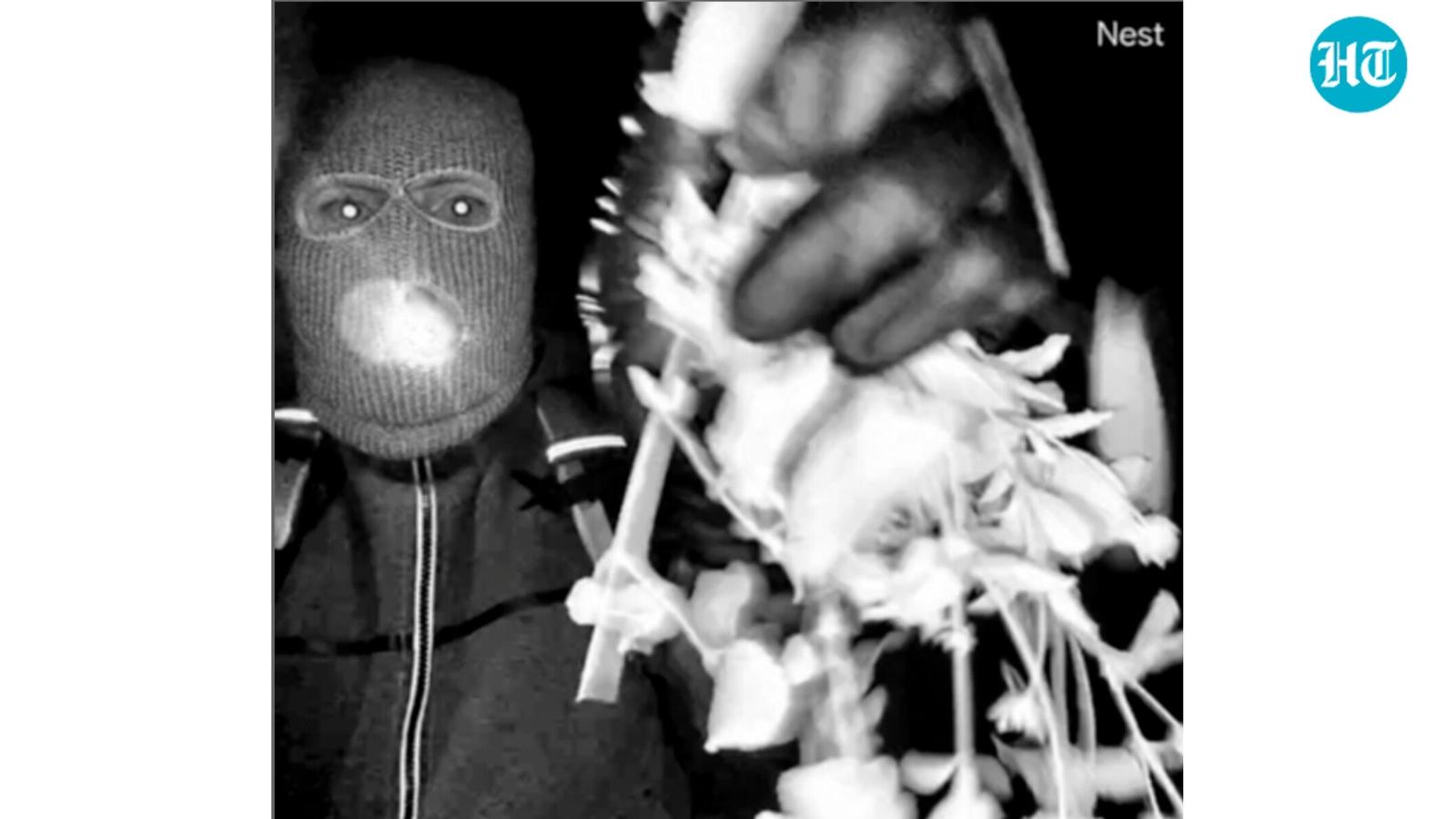 Who is ‘the boss’? Mysterious new figure emerges in Nancy Guthrie case as chilling Porch Guy theory surfaces