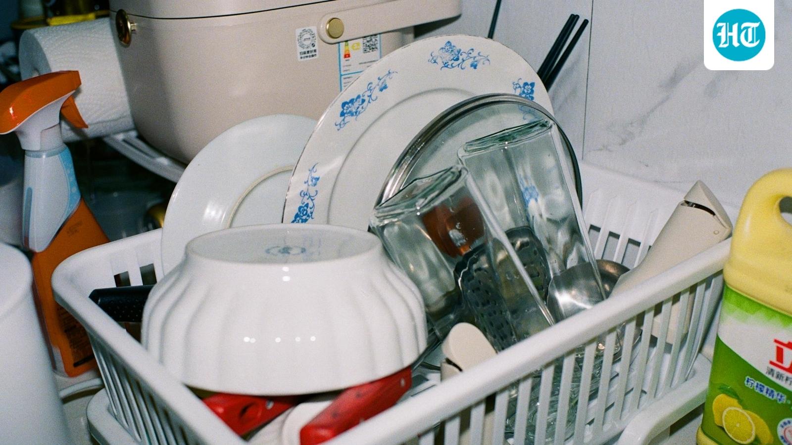 Tired of scrubbing kadhais? I found these top dishwasher deals worth checking during Flipkart Sale