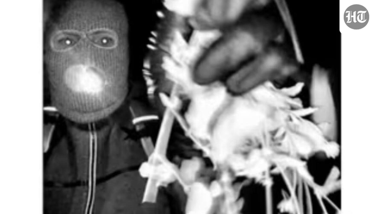 Is Nancy Guthrie suspect a woman? ‘Feminine features’ and ‘second mask’ theories emerge amid search for missing woman