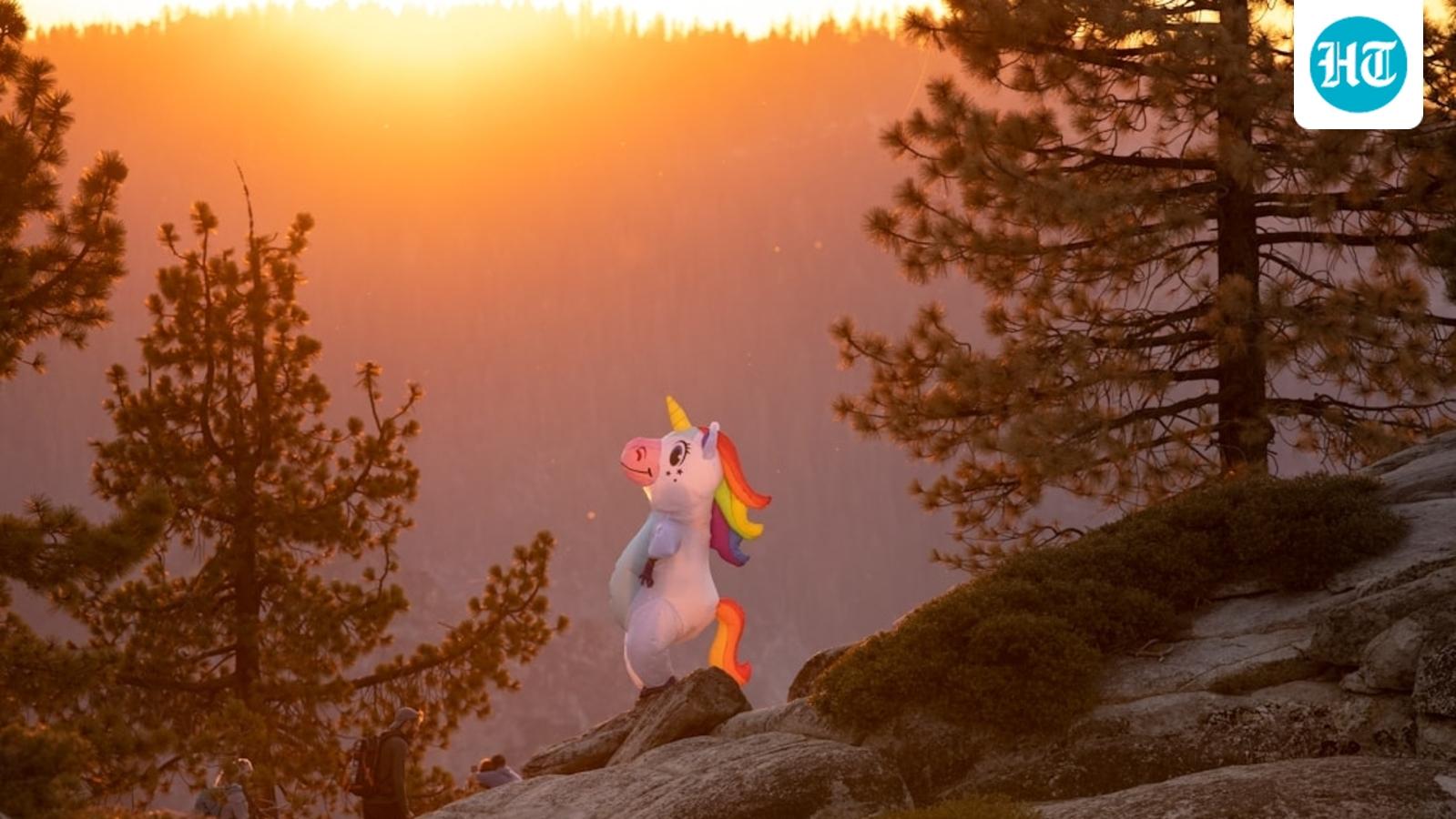 Zombie unicorns are haunting Silicon Valley