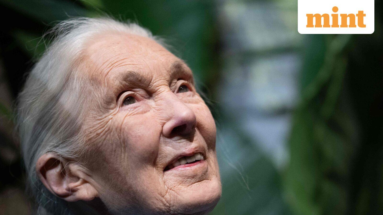 Quote of the day: Jane Goodall on impact and advocacy- ‘What you do makes a difference, and you have to decide…’