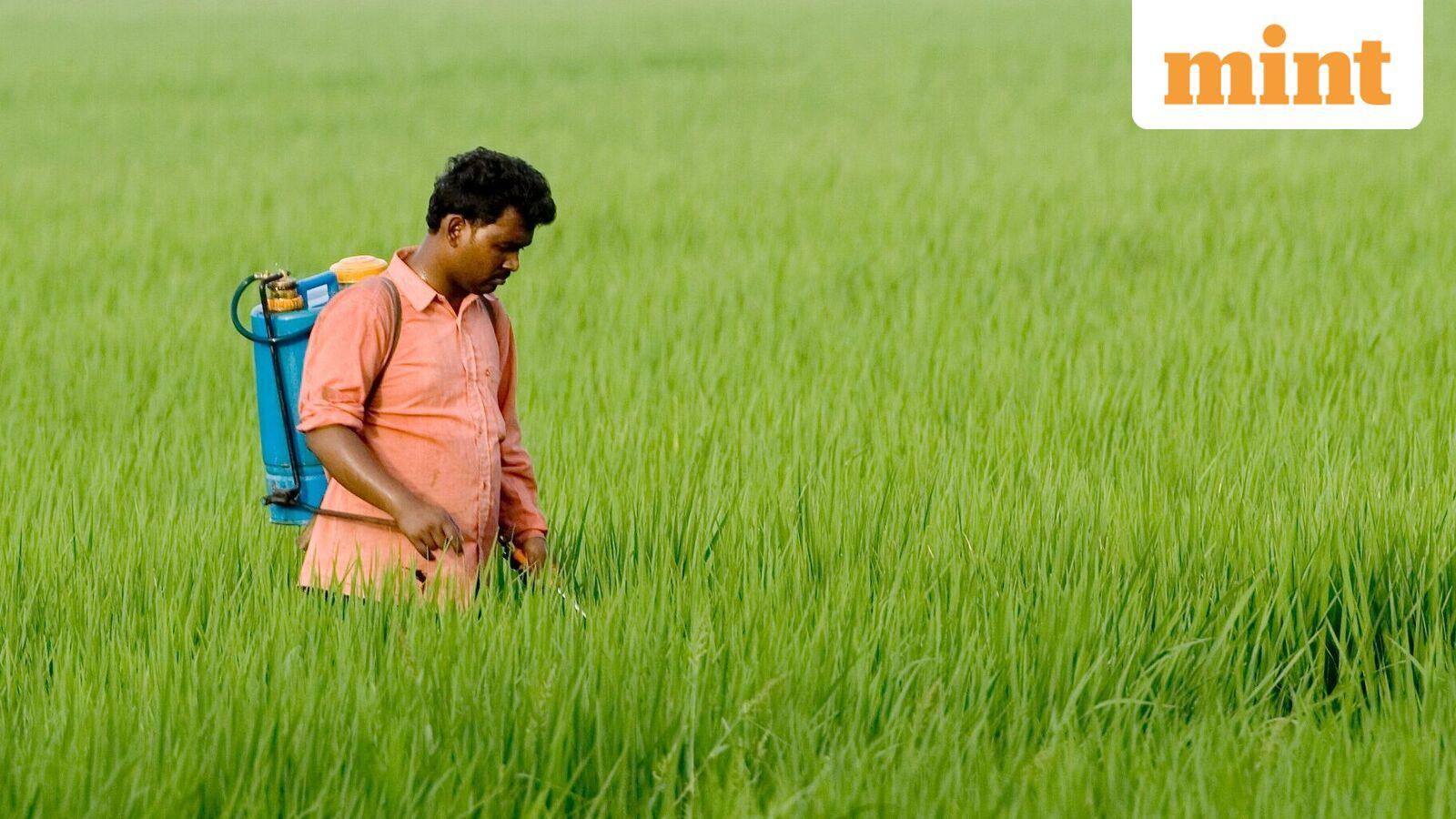 Govt weighs banning crop-protection chemicals paraquat and carbosulfan