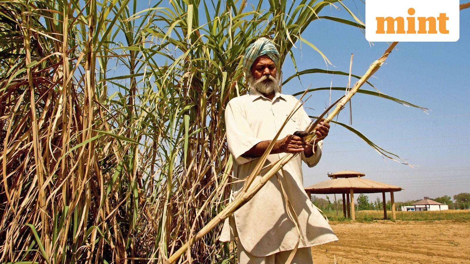 Chasing Brazil’s biofuel dream: Can India drive on 100% ethanol?