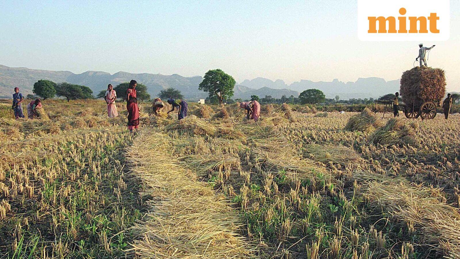 Centre releases ₹25,863 crore as new rural jobs scheme VB-G-RAM-G rolls out nationwide