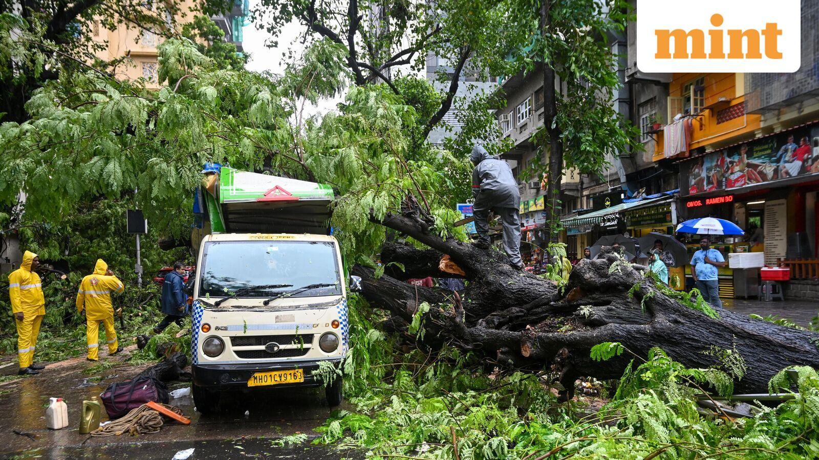 Mumbai School Holiday: Private, govt schools and colleges to remain shut on July 6 as IMD issues orange alert