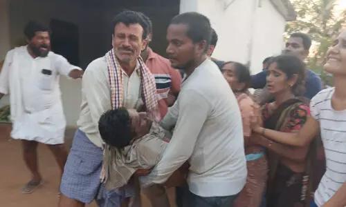 లేగదూడ కోసం ప్రాణాలు వదిలిన తండ్రీకుమారులు